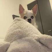 ヒメ日記 2025/07/03 11:54 投稿 大沢 まり こあくまな熟女たち沼津店（KOAKUMAグループ）