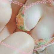 ヒメ日記 2025/12/23 12:30 投稿 あかるい GooGoo ～グーグー～