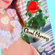 ヒメ日記 2025/08/19 10:08 投稿 陽華 極上の妻たち