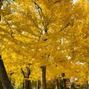 ヒメ日記 2024/12/14 11:00 投稿 琴美 極上の妻たち