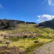 ヒメ日記 2024/12/14 14:57 投稿 琴美 極上の妻たち