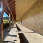 ヒメ日記 2025/01/11 10:53 投稿 琴美 極上の妻たち