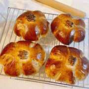 ヒメ日記 2025/01/11 11:59 投稿 琴美 極上の妻たち