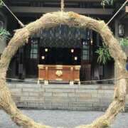 ヒメ日記 2025/01/11 14:12 投稿 琴美 極上の妻たち