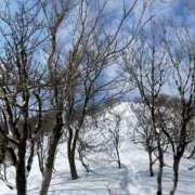 ヒメ日記 2025/01/18 09:58 投稿 琴美 極上の妻たち