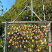 ヒメ日記 2025/03/01 11:48 投稿 琴美 極上の妻たち