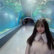 ヒメ日記 2025/03/13 00:15 投稿 桜井まほ ラブリップ川越