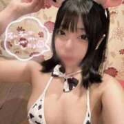 ヒメ日記 2024/12/17 10:22 投稿 まな☆パーフェクトレディ ジャックと豆の木