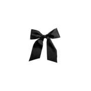 ヒメ日記 2025/02/01 21:02 投稿 まな☆パーフェクトレディ ジャックと豆の木