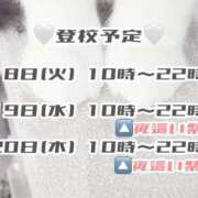 ヒメ日記 2025/03/17 11:33 投稿 鈴音　りか 妄想する女学生たち 梅田校