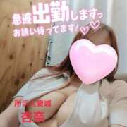 ヒメ日記 2025/04/11 15:27 投稿 杏奈 モアグループ所沢人妻城