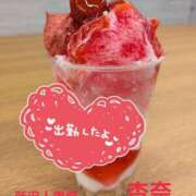 ヒメ日記 2025/07/10 09:51 投稿 杏奈 モアグループ所沢人妻城