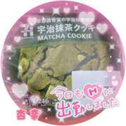 杏奈 カロリーがヤバい モアグループ所沢人妻城