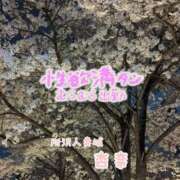 ヒメ日記 2026/03/30 20:51 投稿 杏奈 モアグループ所沢人妻城