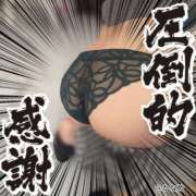 ヒメ日記 2025/11/17 11:27 投稿 要 モアグループ所沢人妻城