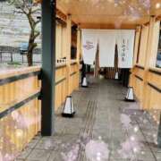 ヒメ日記 2025/01/14 21:05 投稿 白里　のあ プルプル人妻専門店