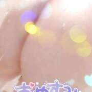 ヒメ日記 2025/01/15 01:14 投稿 白里　のあ プルプル人妻専門店