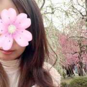 ヒメ日記 2025/03/19 17:33 投稿 白里　のあ プルプル人妻専門店