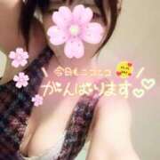 ヒメ日記 2025/03/31 19:28 投稿 白里　のあ プルプル人妻専門店