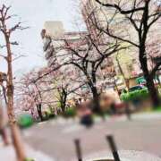 ヒメ日記 2025/04/07 07:01 投稿 白里　のあ プルプル人妻専門店