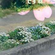 ヒメ日記 2025/04/09 15:38 投稿 白里　のあ プルプル人妻専門店