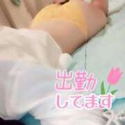 ヒメ日記 2025/04/29 18:21 投稿 白里　のあ プルプル人妻専門店