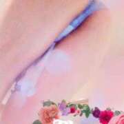 ヒメ日記 2025/05/11 00:02 投稿 白里　のあ プルプル人妻専門店