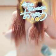 ヒメ日記 2025/05/13 02:34 投稿 白里　のあ プルプル人妻専門店