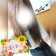 ヒメ日記 2025/06/23 16:09 投稿 白里　のあ プルプル人妻専門店