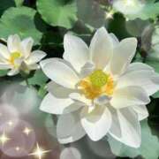 ヒメ日記 2025/07/14 17:12 投稿 白里　のあ プルプル人妻専門店