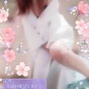 ヒメ日記 2025/07/16 21:15 投稿 白里　のあ プルプル人妻専門店