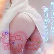 ヒメ日記 2025/07/17 01:56 投稿 白里　のあ プルプル人妻専門店