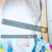 ヒメ日記 2025/07/29 17:51 投稿 白里　のあ プルプル人妻専門店