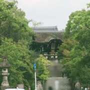 ヒメ日記 2025/08/28 14:46 投稿 白里　のあ プルプル人妻専門店