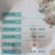 ヒメ日記 2025/09/21 14:35 投稿 白里　のあ プルプル人妻専門店