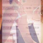 ヒメ日記 2025/11/21 22:00 投稿 白里　のあ プルプル人妻専門店