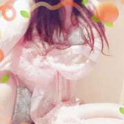 ヒメ日記 2025/12/31 13:16 投稿 白里　のあ プルプル人妻専門店