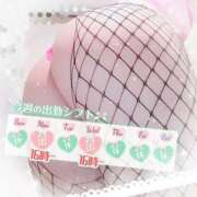 ヒメ日記 2026/01/26 14:10 投稿 白里　のあ プルプル人妻専門店