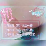 ヒメ日記 2026/03/12 22:11 投稿 白里　のあ プルプル人妻専門店