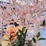 ヒメ日記 2026/03/18 18:03 投稿 白里　のあ プルプル人妻専門店