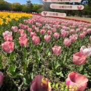 ヒメ日記 2026/04/13 14:29 投稿 白里　のあ プルプル人妻専門店