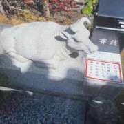 ヒメ日記 2026/04/18 17:19 投稿 白里　のあ プルプル人妻専門店