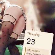 ヒメ日記 2026/04/22 08:01 投稿 白里　のあ プルプル人妻専門店