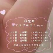 ヒメ日記 2026/06/19 21:31 投稿 白里　のあ プルプル人妻専門店