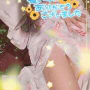 ヒメ日記 2026/07/28 14:29 投稿 白里　のあ プルプル人妻専門店