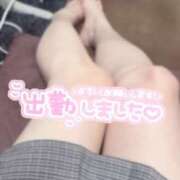 ヒメ日記 2025/04/05 14:19 投稿 みみ アイビーム