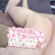 ヒメ日記 2025/06/14 16:14 投稿 みみ アイビーム