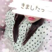 ヒメ日記 2025/03/27 17:57 投稿 じゅん 大阪ぽっちゃりマニア 谷九店