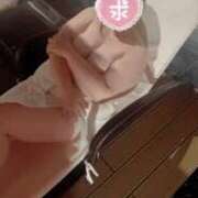 ヒメ日記 2025/11/11 10:18 投稿 じゅん 大阪ぽっちゃりマニア 谷九店