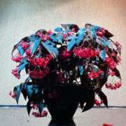 ヒメ日記 2026/04/12 18:43 投稿 じゅん 大阪ぽっちゃりマニア 谷九店